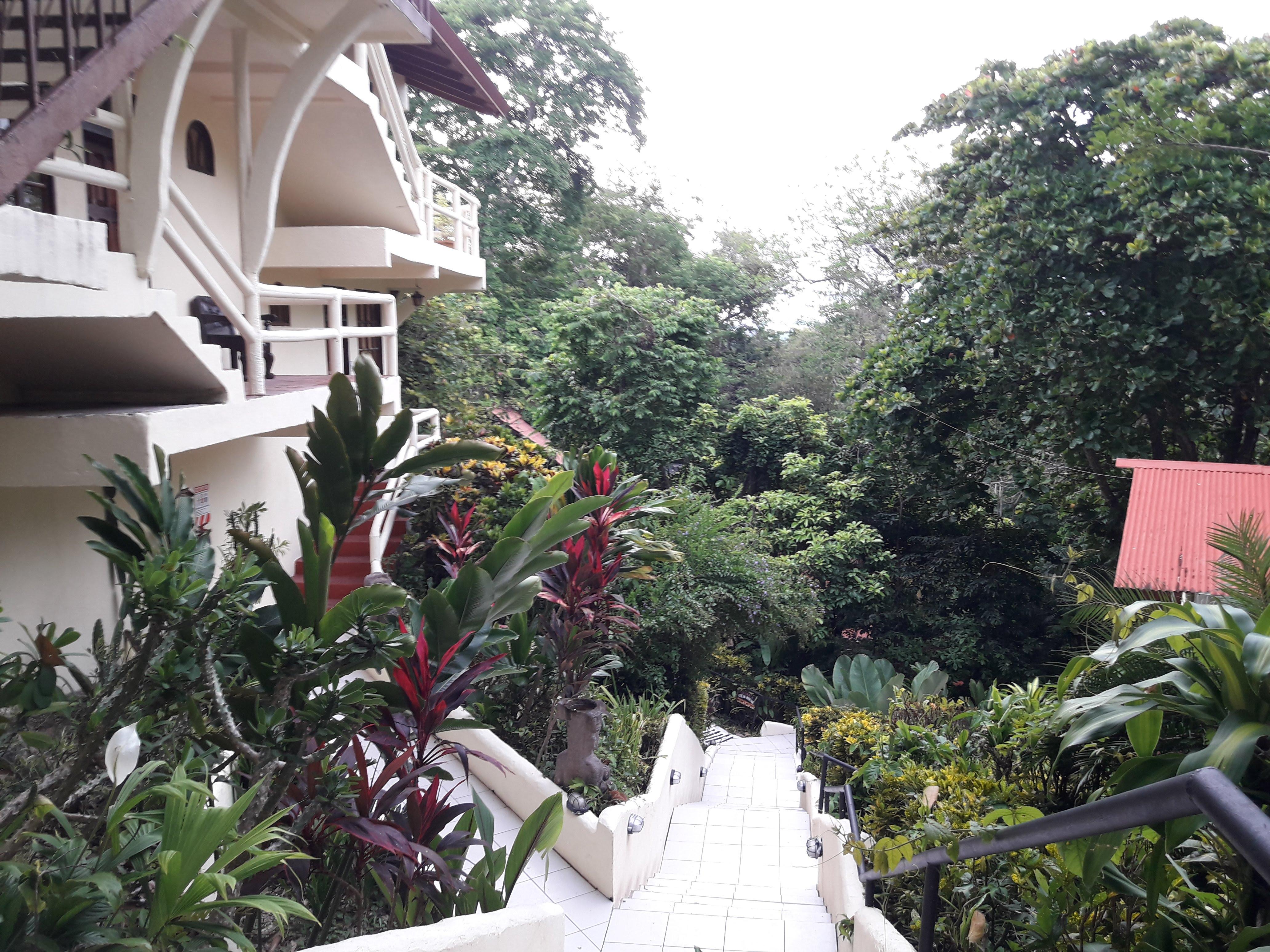 Hotel La Colina Manuel Antonio Exterior foto